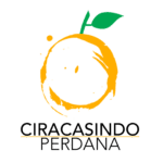 Logo PT. Ciracasindo Perdana